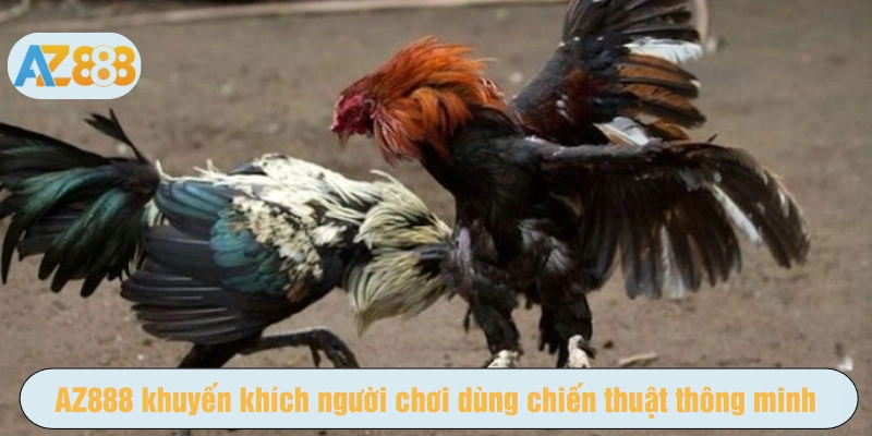 AZ888 khuyến khích người chơi dùng chiến thuật thông minh