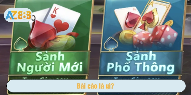 Giải thích Bài cào là gì?