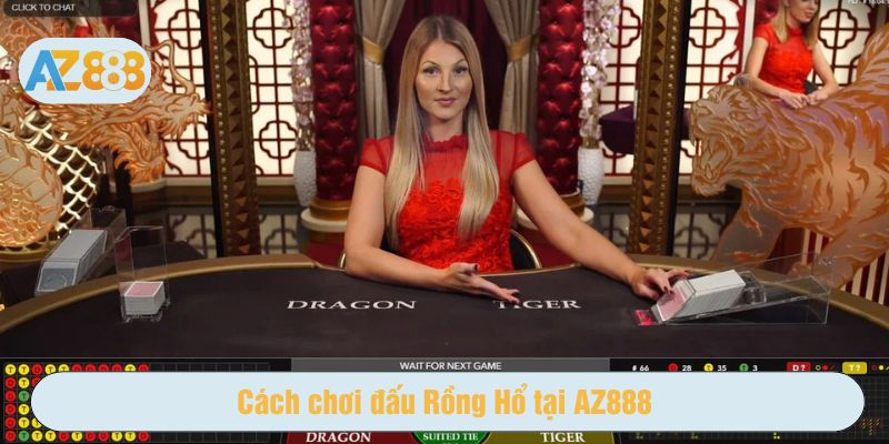 Trong đấu Rồng Hổ, người chơi có ba lựa chọn cửa cược chính