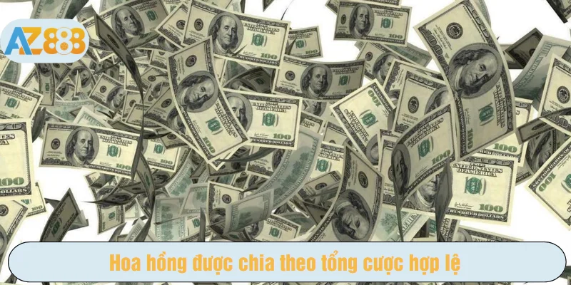 Hoa hồng được chia theo tổng cược hợp lệ