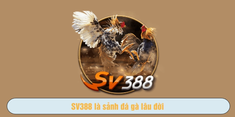 SV388 là sảnh đá gà lâu đời