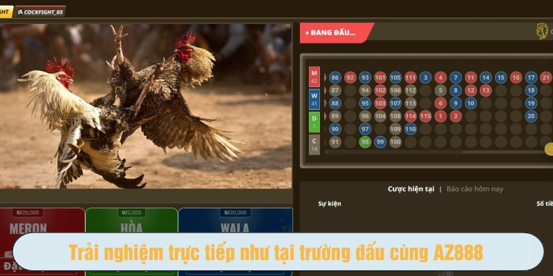 Trải nghiệm trực tiếp như tại trường đấu cùng AZ888